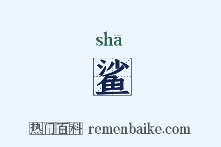 鲨是什么意思的图片
